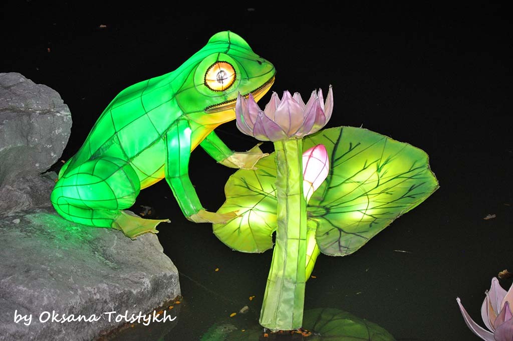 Montreal Botanical Garden 21