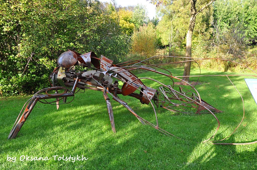 parc_marie_victorin_10