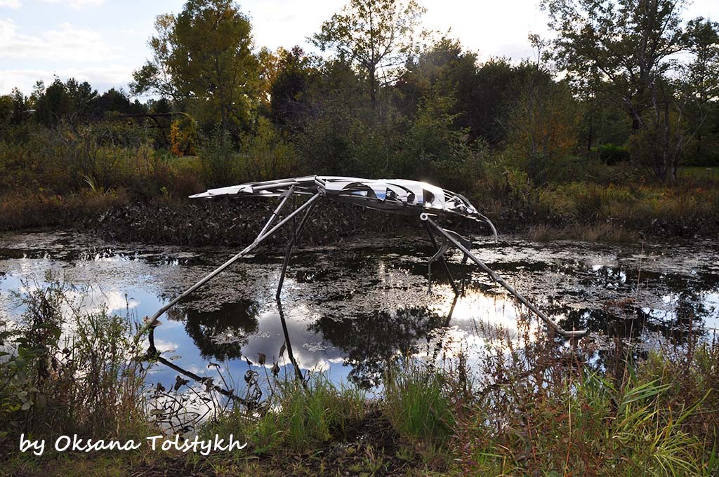 parc_marie_victorin_21