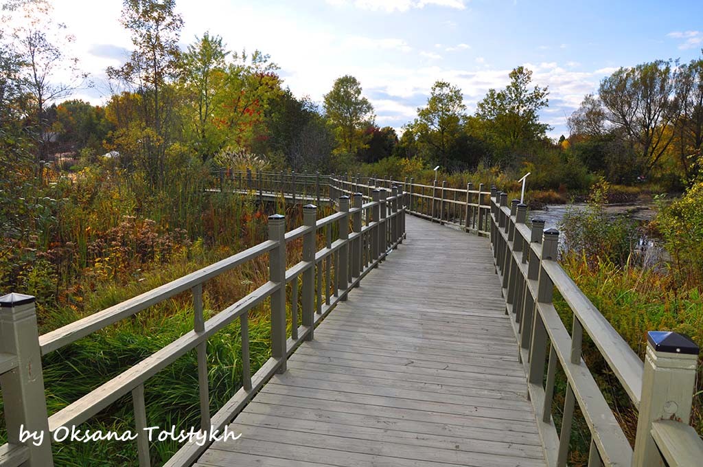 parc_marie_victorin_29