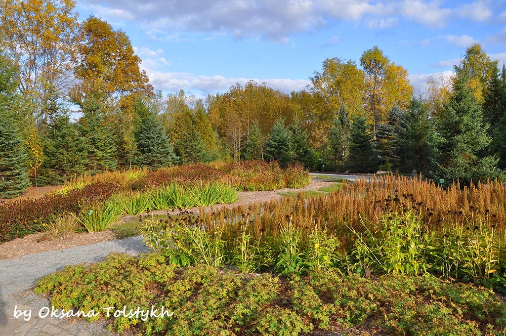 parc_marie_victorin_31