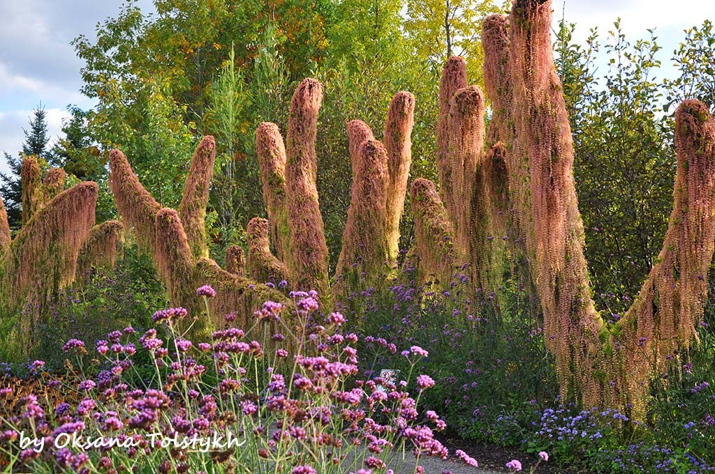 parc_marie_victorin_40