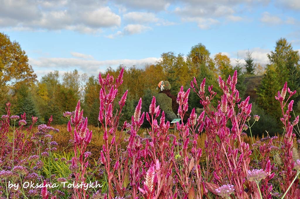 parc_marie_victorin_41