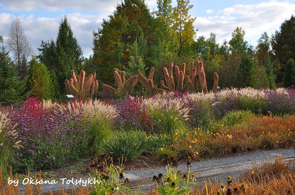 parc_marie_victorin_42