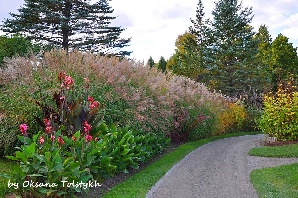 parc_marie_victorin_7