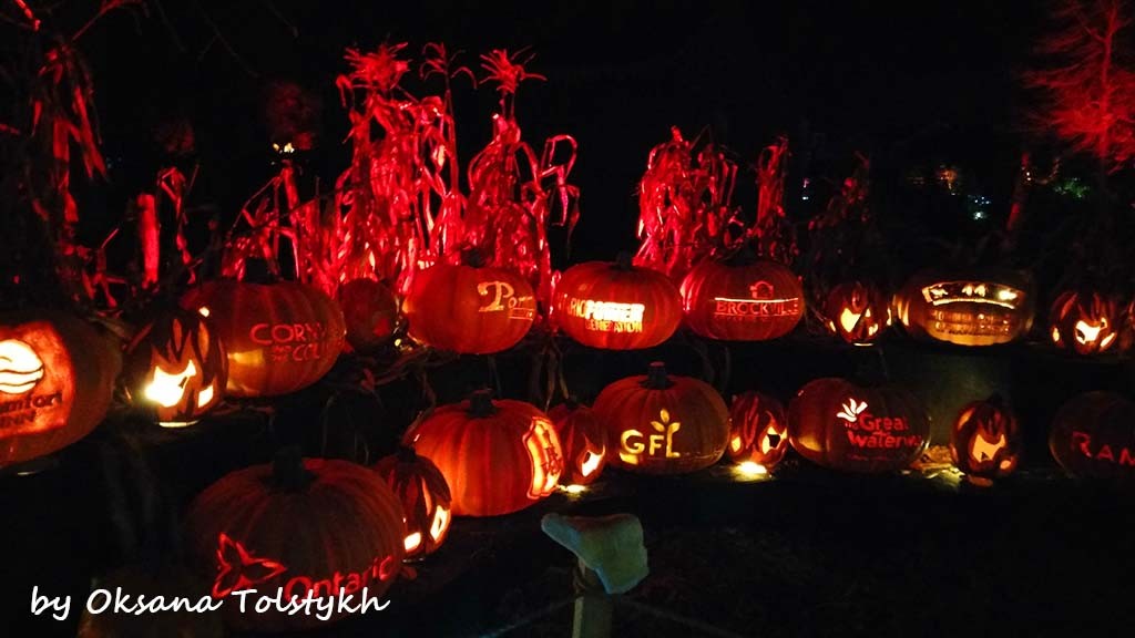 Pumpkinferno1