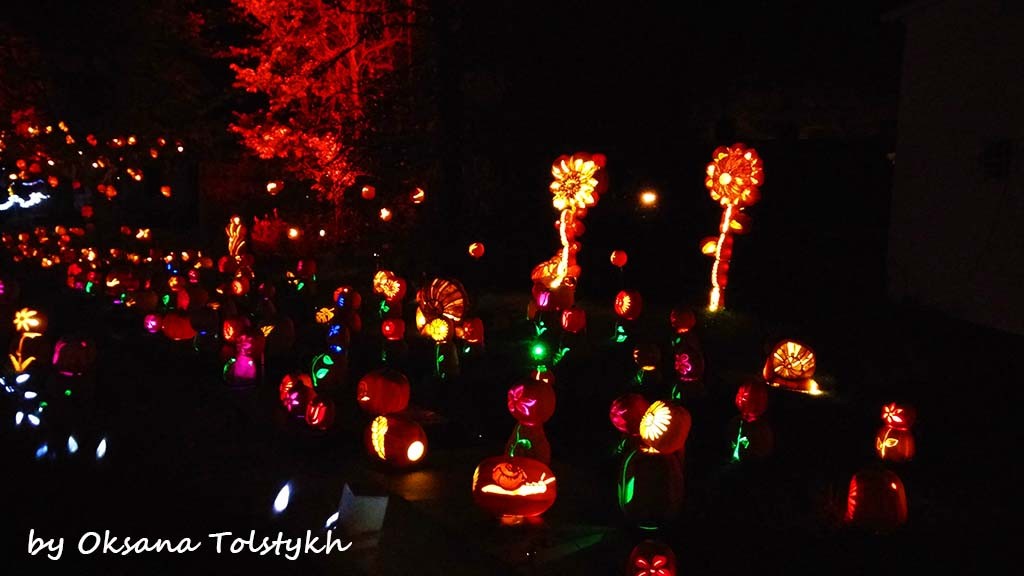 Pumpkinferno10