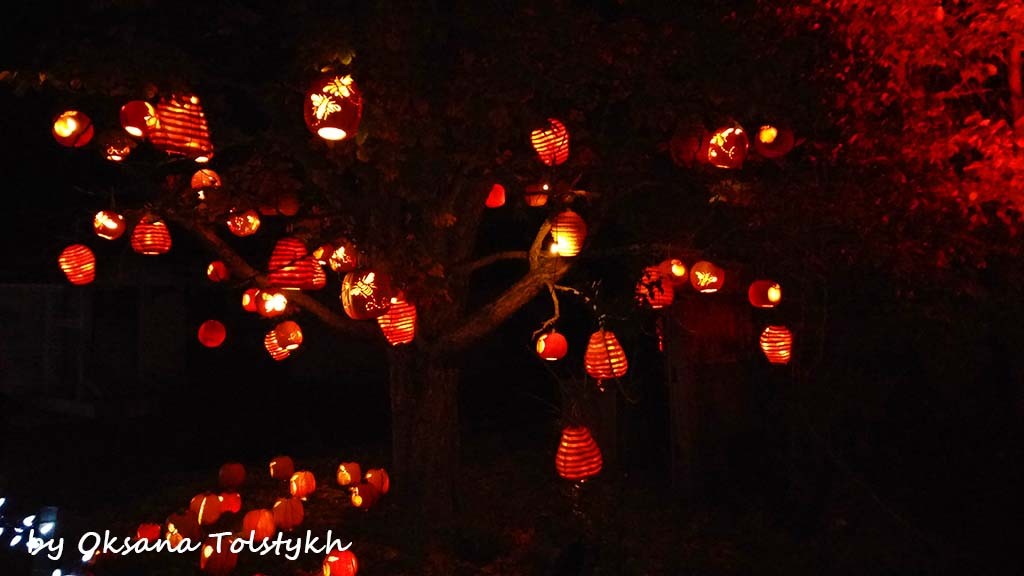 Pumpkinferno11