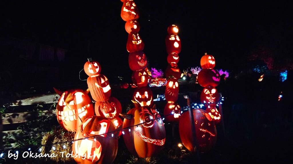 Pumpkinferno3