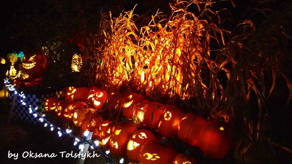 Pumpkinferno4