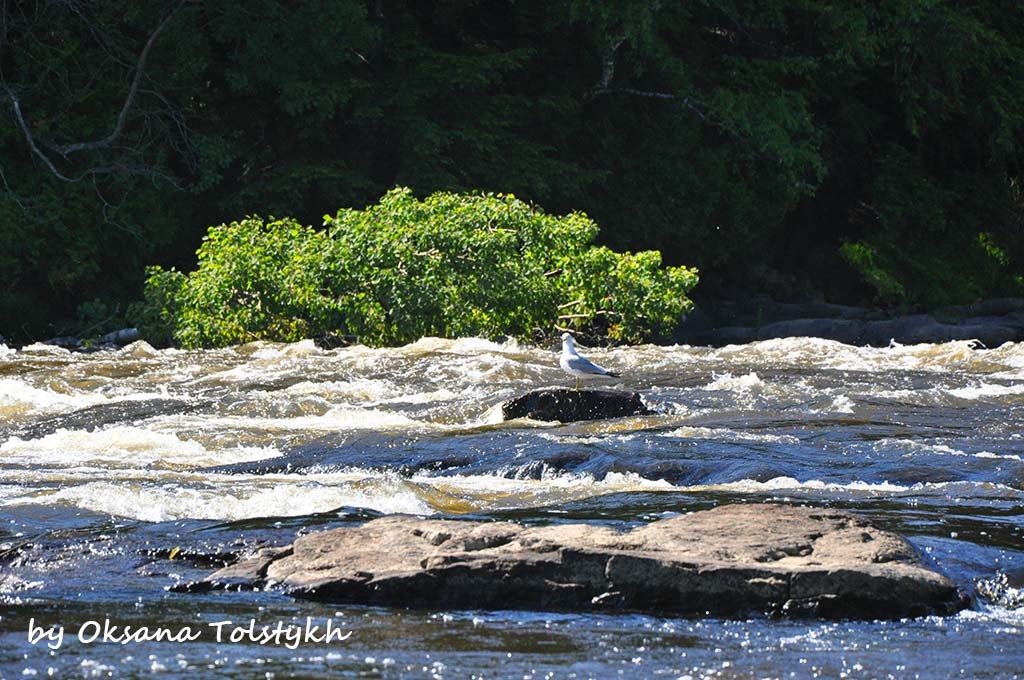 parc régional de la rivière du nord 21