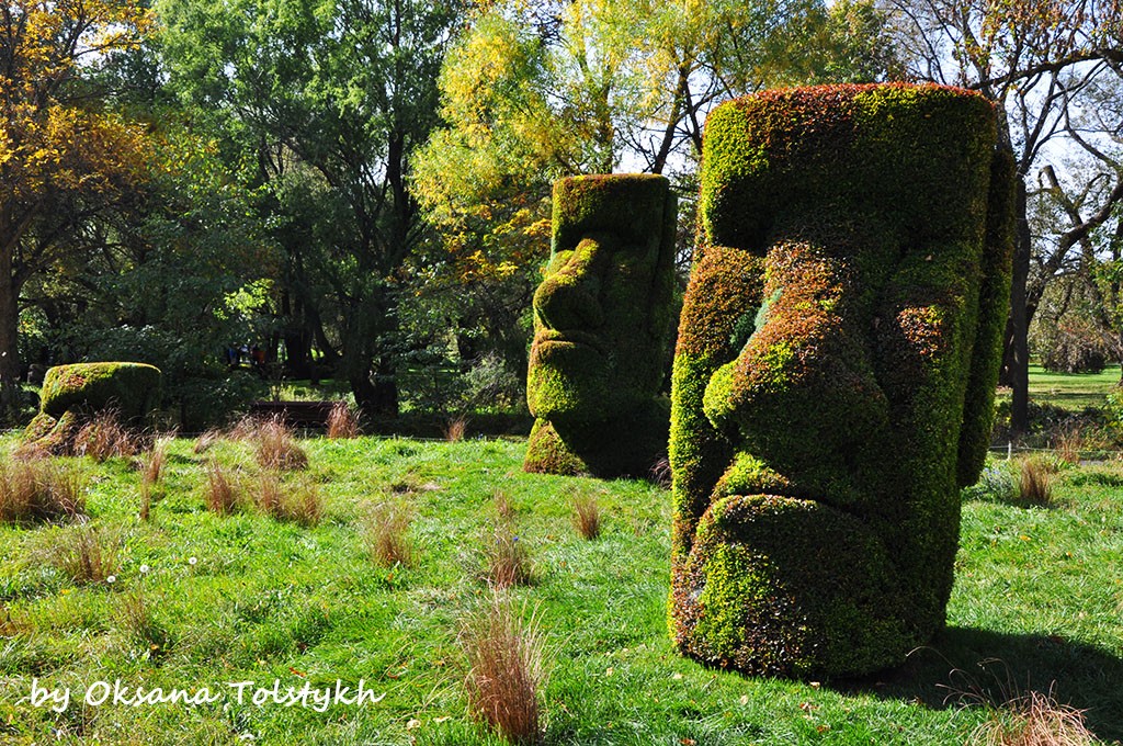 jardin_botanique_1