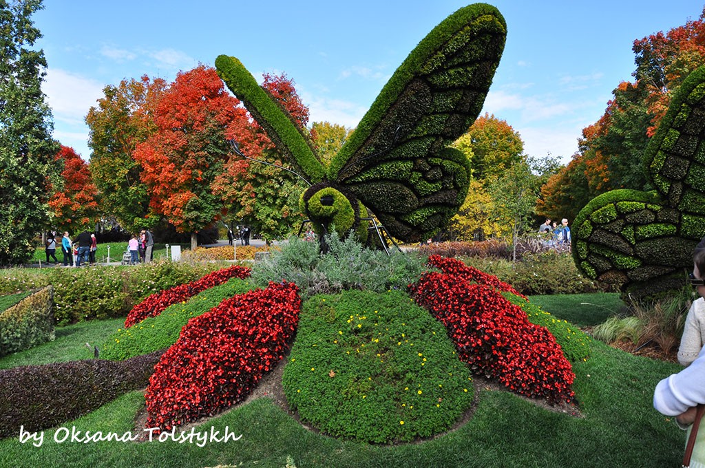 jardin_botanique_13