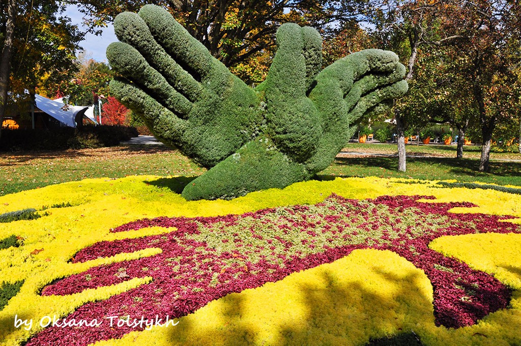 jardin_botanique_2