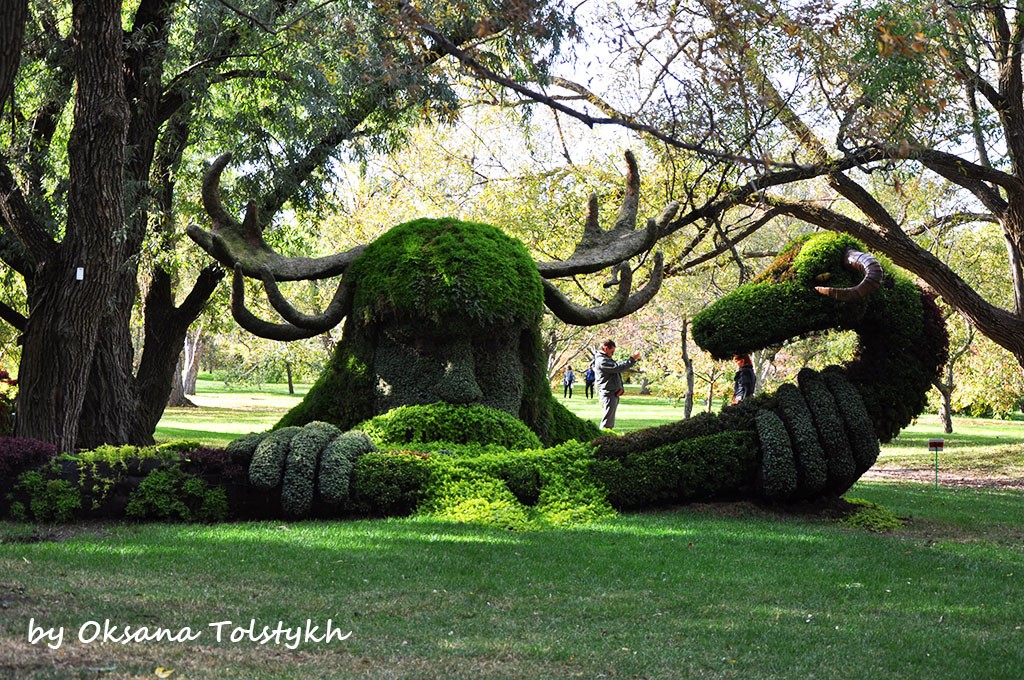 jardin_botanique_20