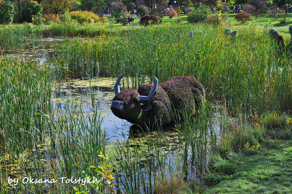 jardin_botanique_31