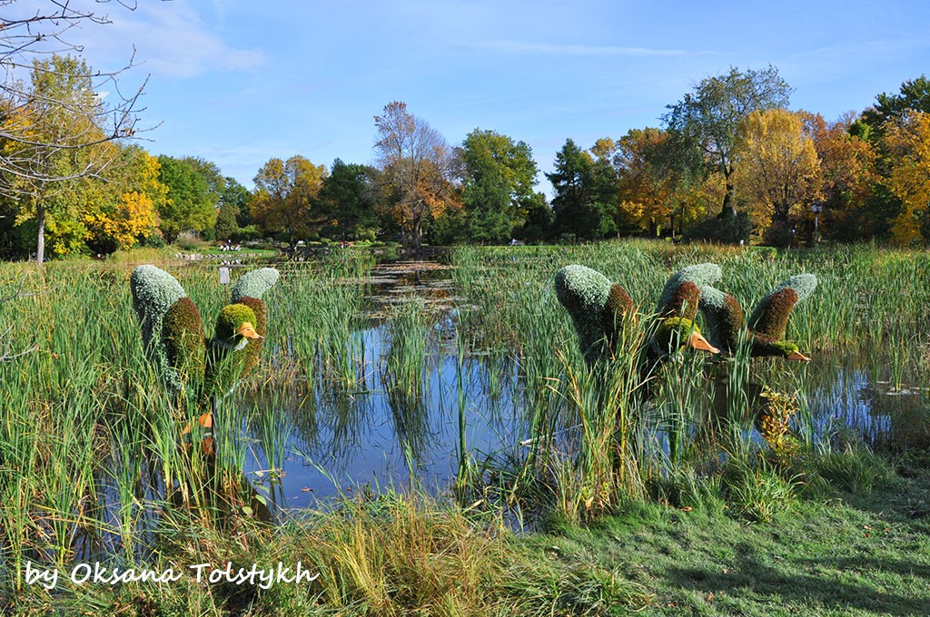 jardin_botanique_33