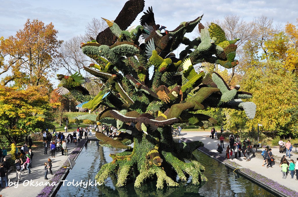 jardin_botanique_37