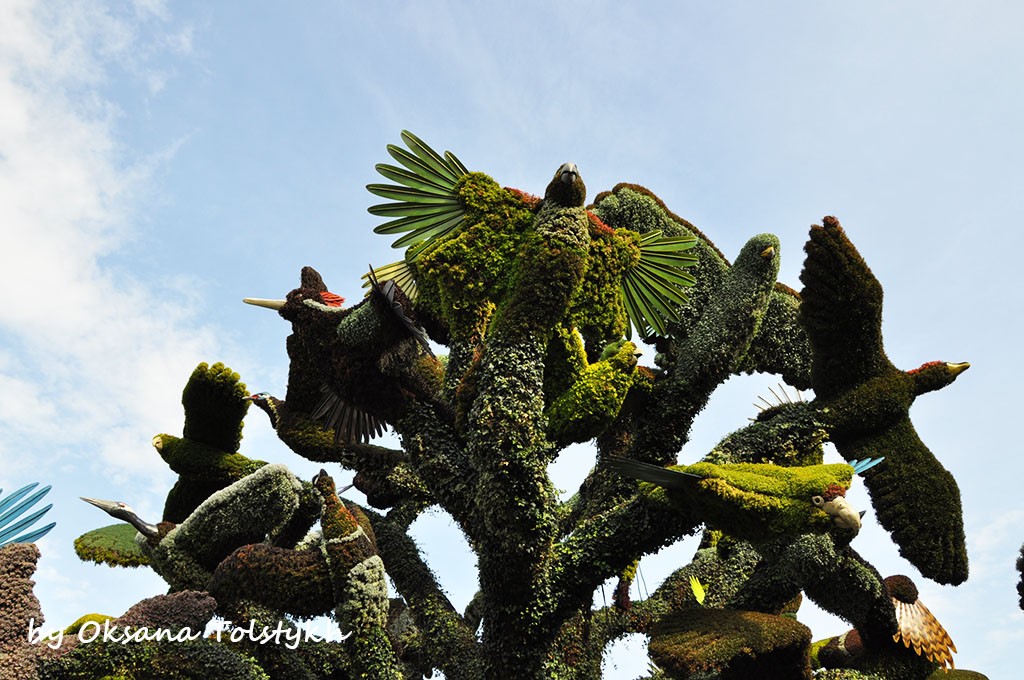 jardin_botanique_38