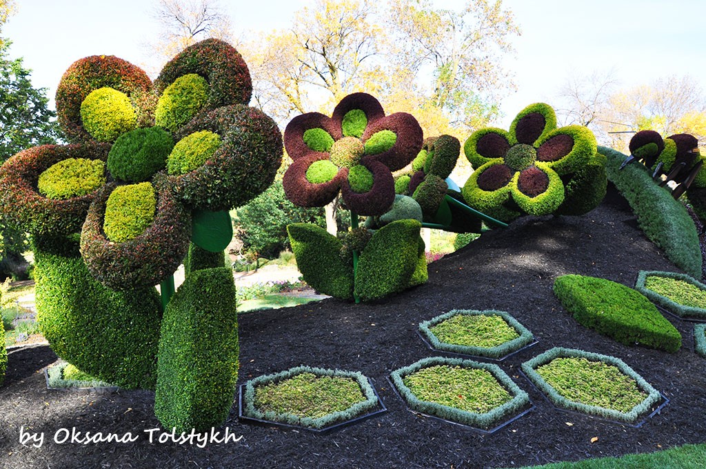 jardin_botanique_40