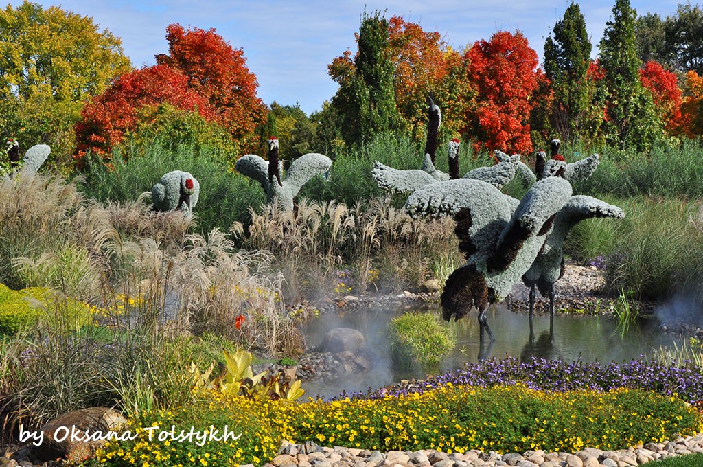 jardin_botanique_5