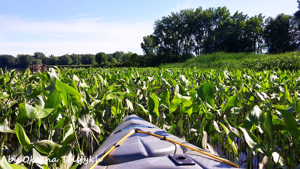 kayaking_1