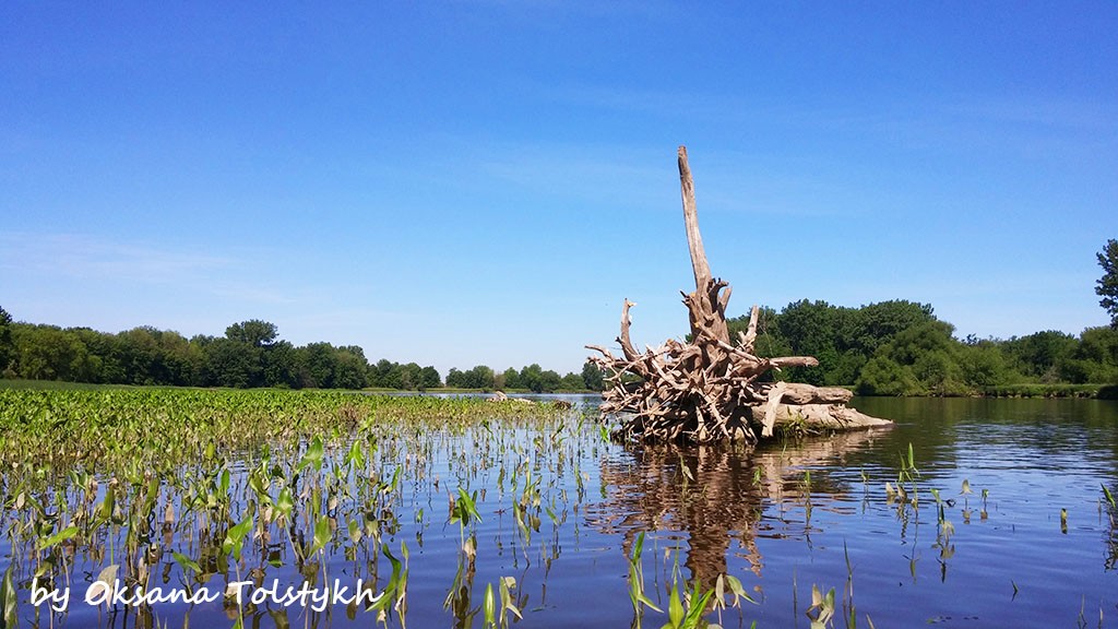 kayaking_2