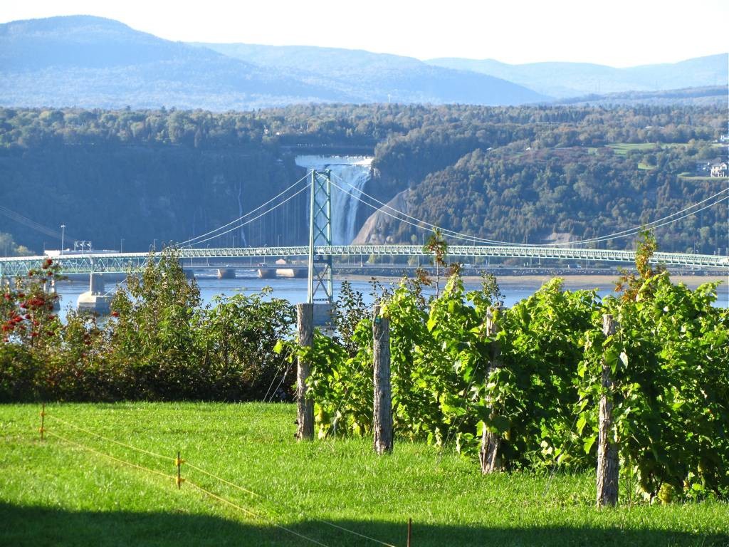 vinnery de l’île d’Orléans