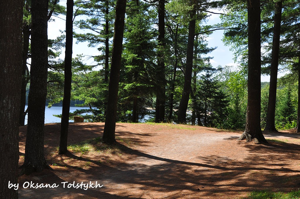 Первая береговая линия Lac Simon. Front camping line on the lake Lac Simon