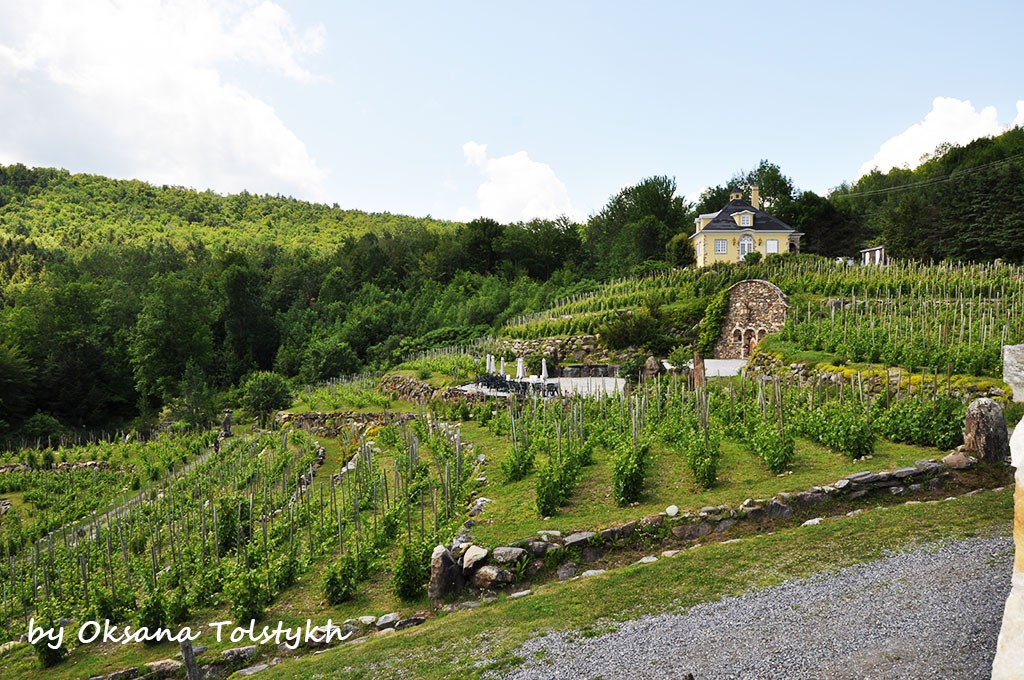 vignoble_chapelle_ste_agnes_15