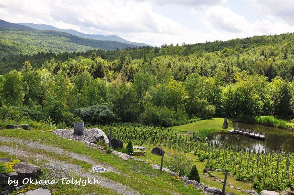 vignoble_chapelle_ste_agnes_17